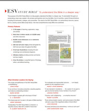 ESV Study Bible TruTone Chocolate/Rose