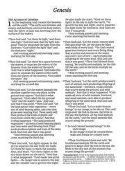 NLT Large-Print Premium Value Thinline Bible, Filament Enabled Edition--soft leather-look, pink