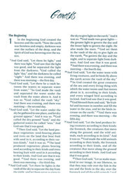 NIV Women's Devotional Bible, Large Print, Italian Duo-Tone Turquoise