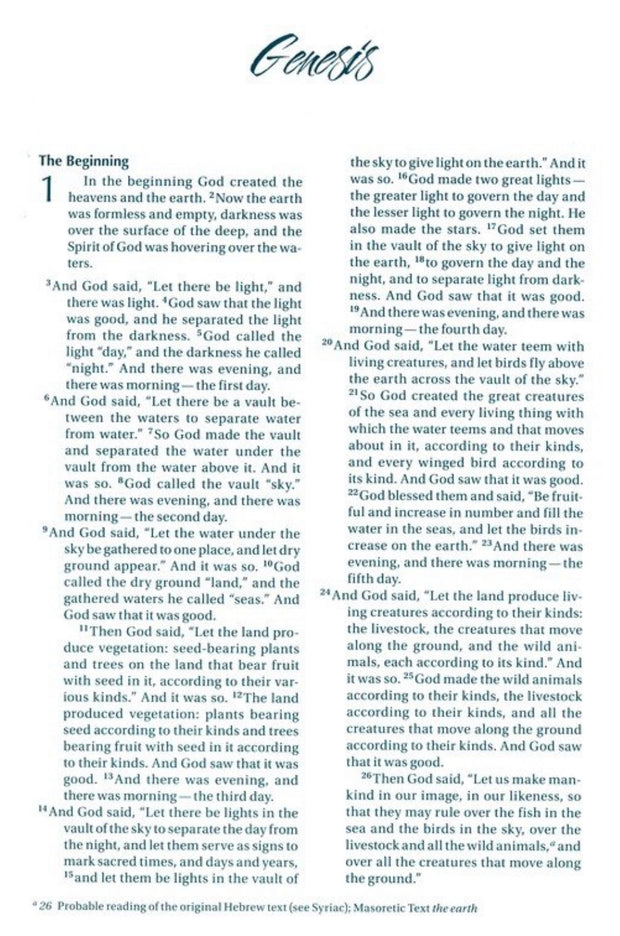 NIV Women's Large-Print Devotional Bible--soft leather-look, brown/pink