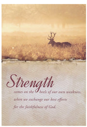 Trusting In Him (KJV) Box of 12 Empathy Cards
