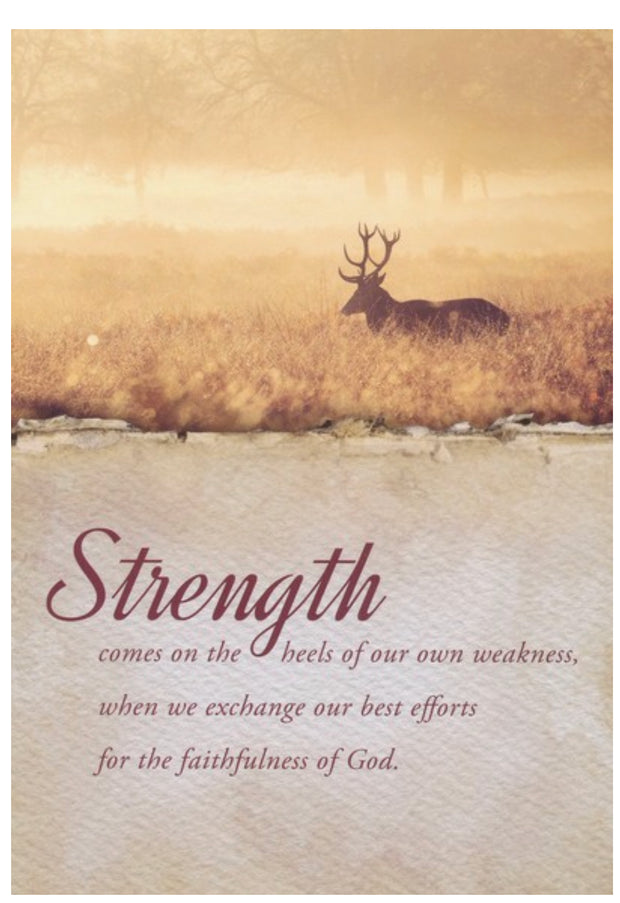 Trusting In Him (KJV) Box of 12 Empathy Cards